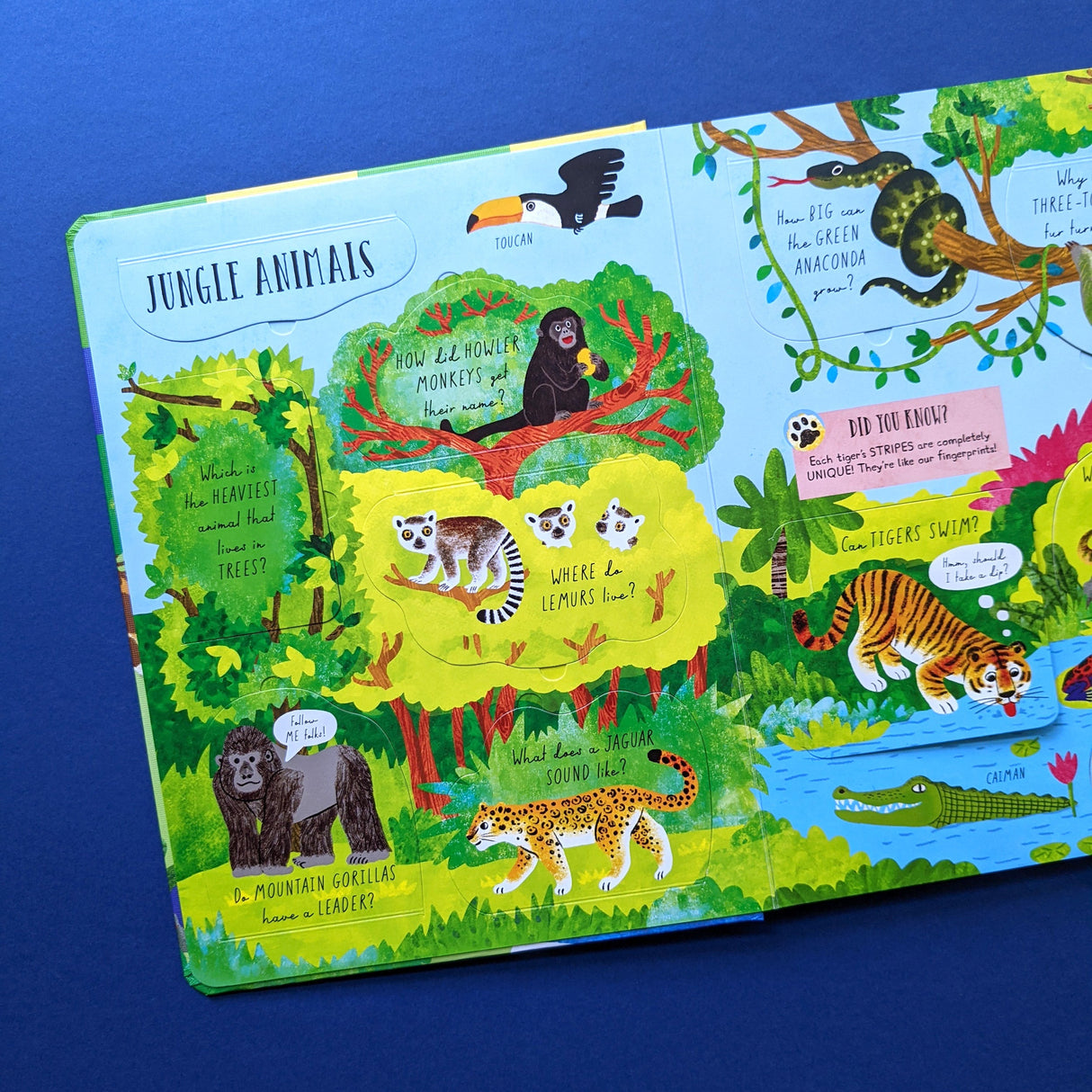 Which Animal Would Be A Good Friend? - Children’s Question & Answer Book