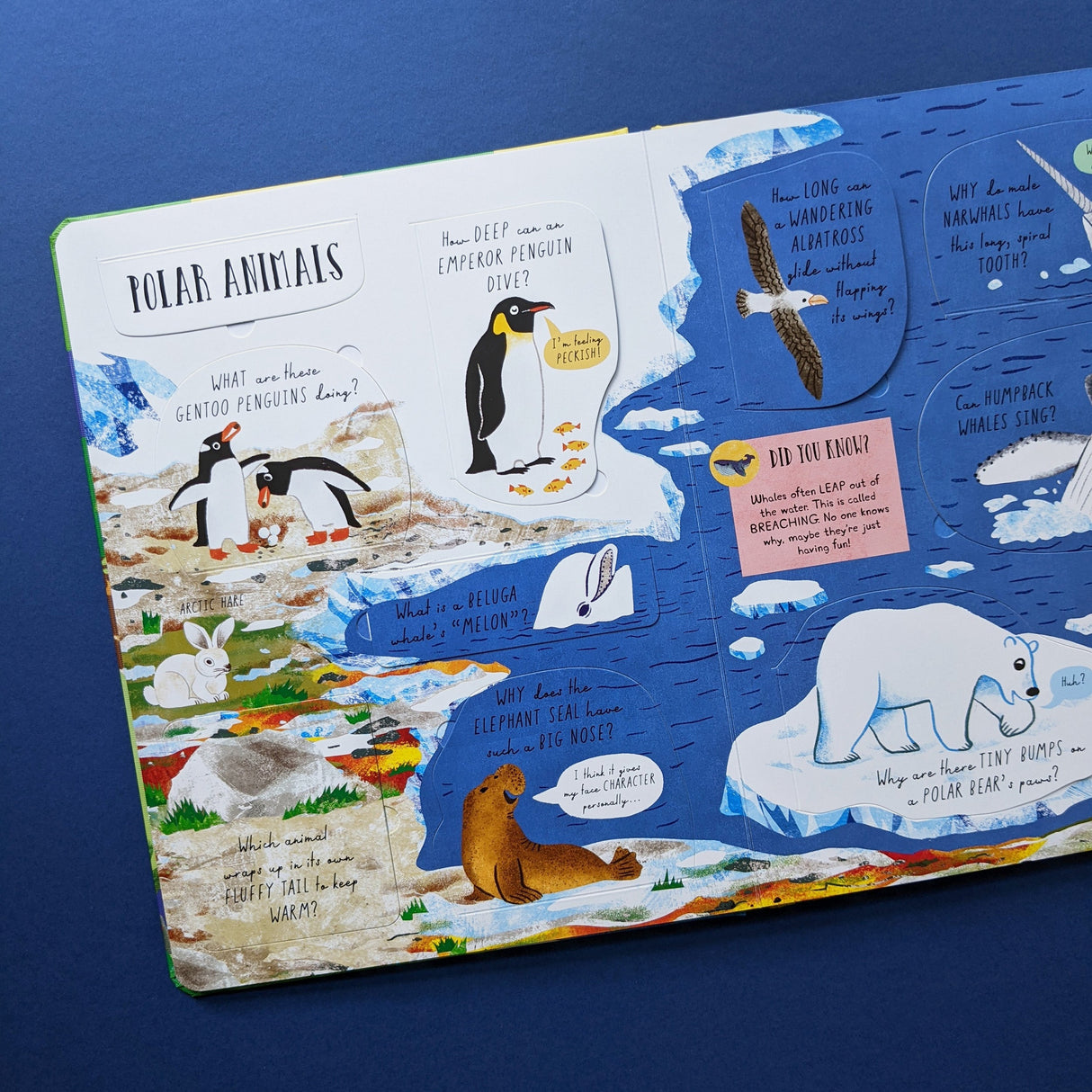 Which Animal Would Be A Good Friend? - Children’s Question & Answer Book