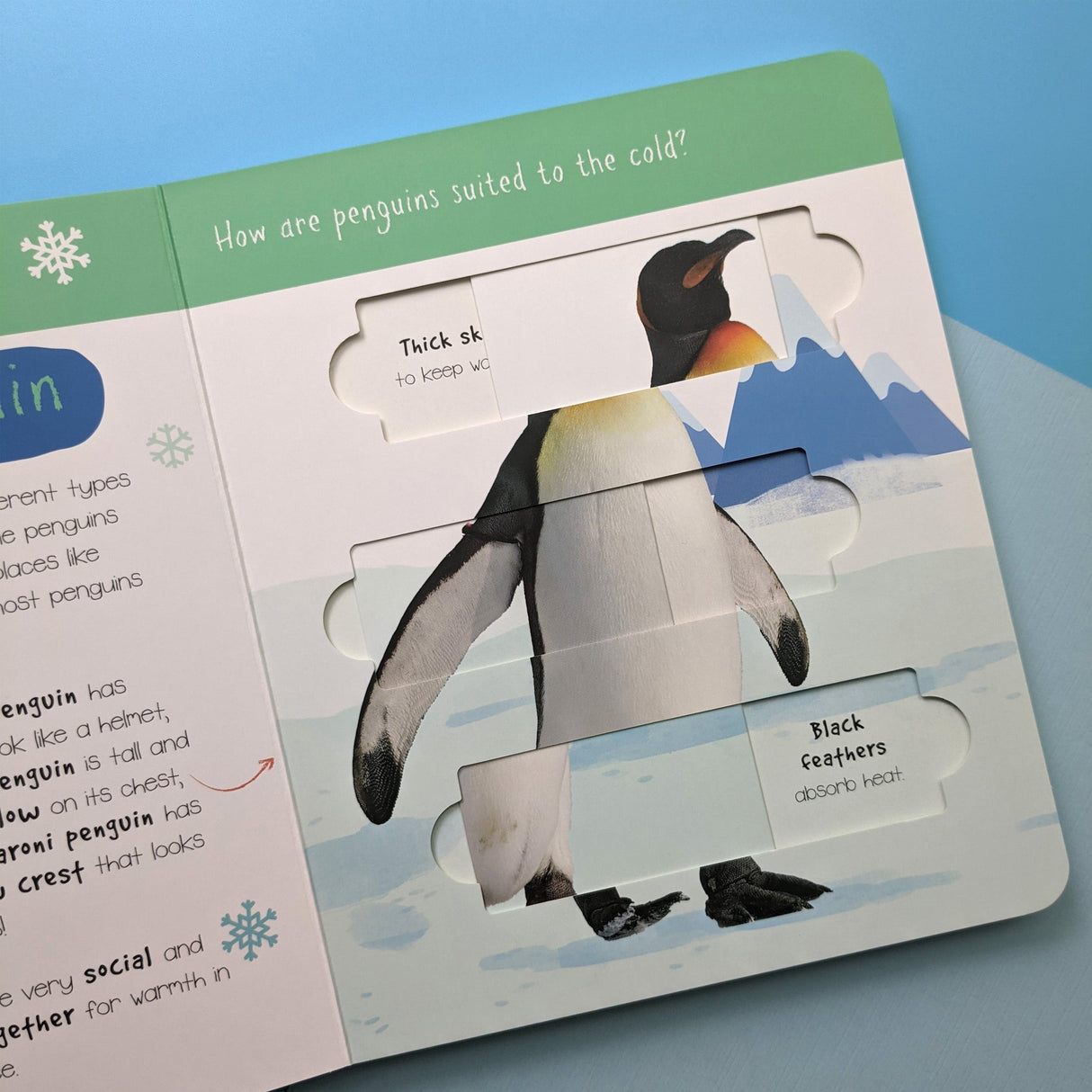 Polar Animals: Who is Hiding in the Puzzle? - Children’s Puzzle Slider Book