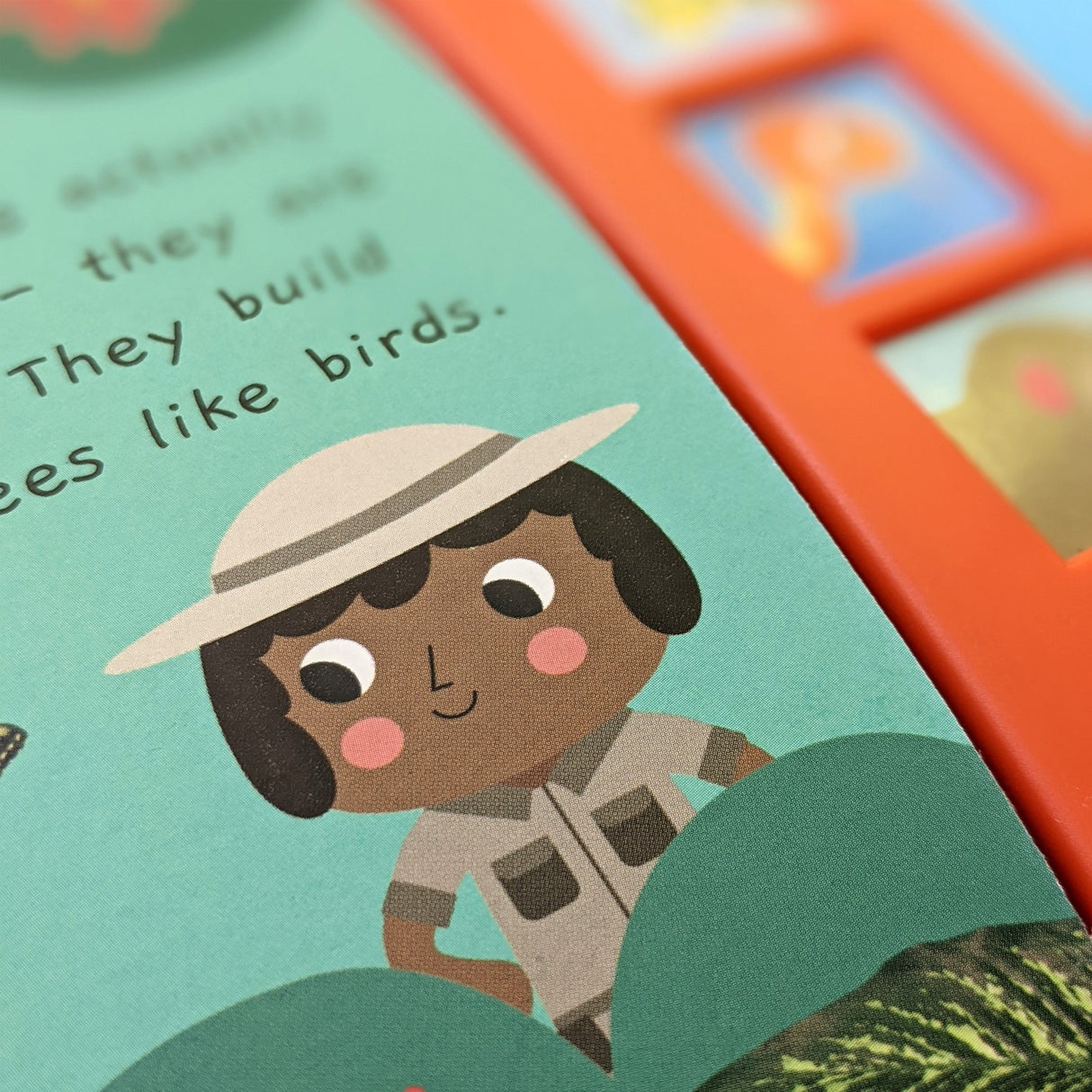 Noisy Rainforest - Children's 6 Button Sound Book