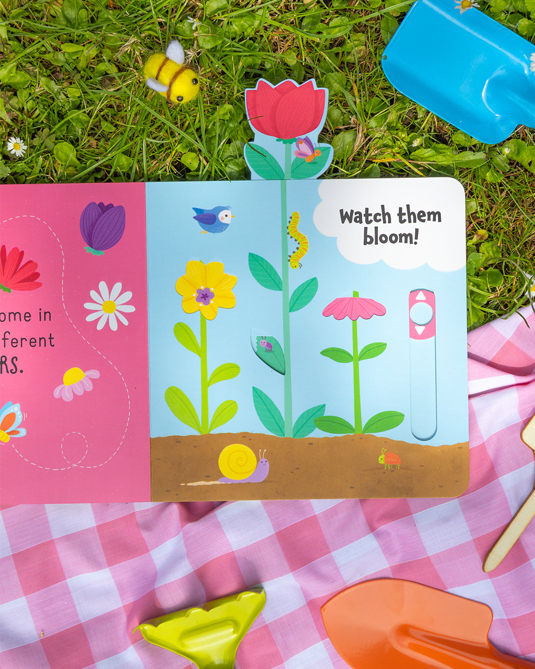 Lift-the-Flap Books