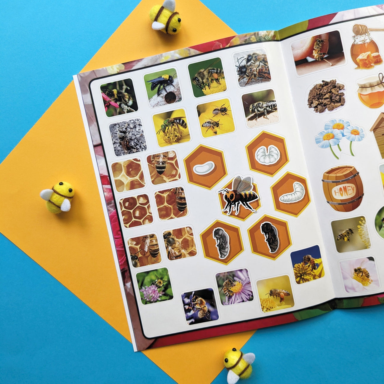 Educational Sticker Books