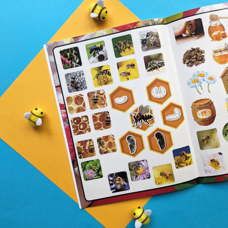 Educational Sticker Books