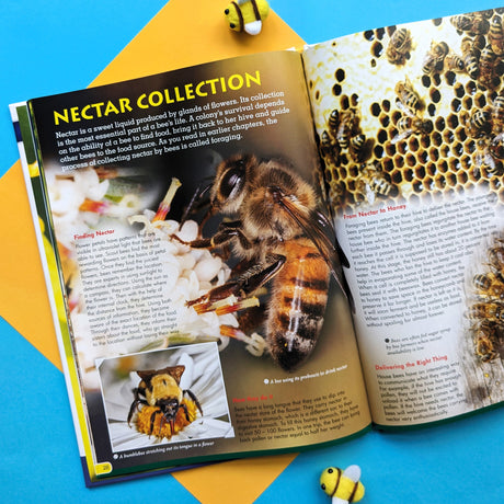 Animal Reference Books for Children