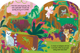 Jungle Explorers – Fold-Out Concertina Book