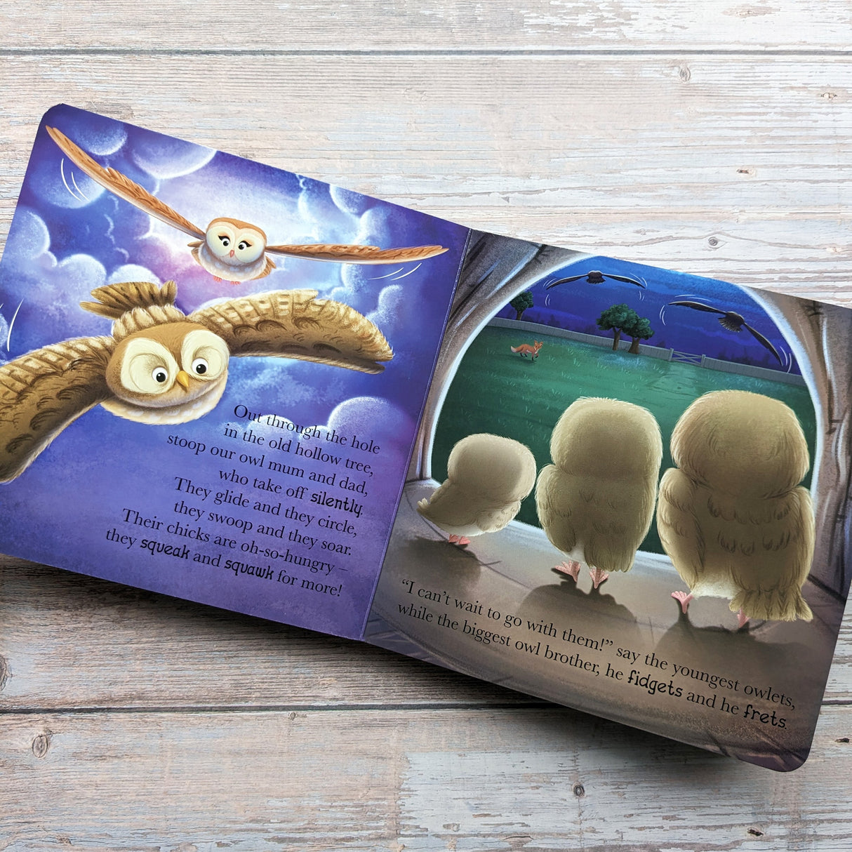 When Owl Feels Scared - Me And My Feelings Children's Board Book