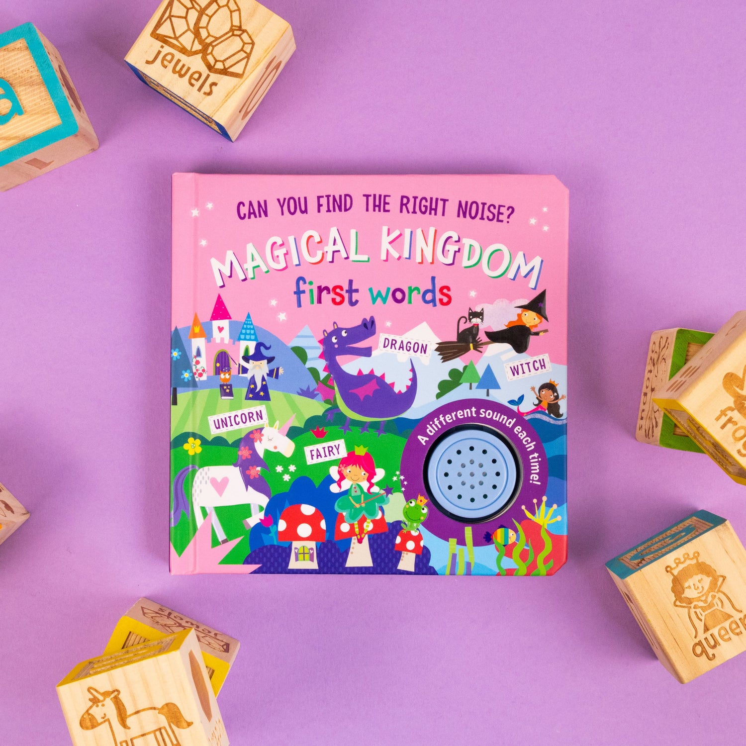 Magical Kingdom Can You Find The Right Noise? Children’s One Button Sound Book