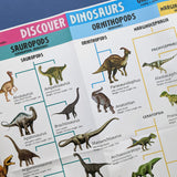 Discover Dinosaurs Educational Box Set