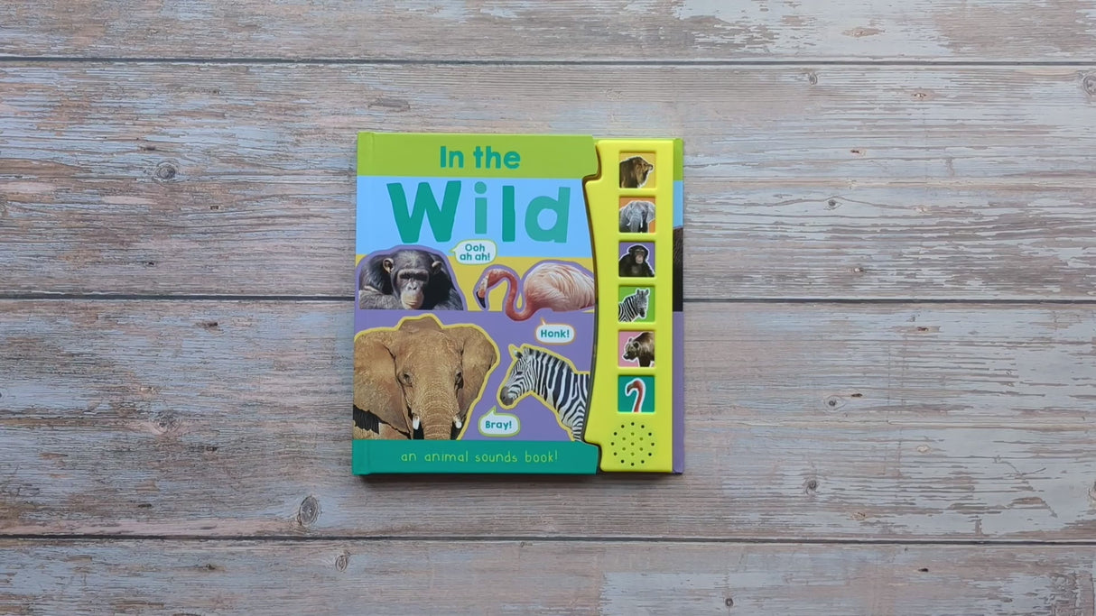 In The Wild – Children’s 6 Button Sound Book