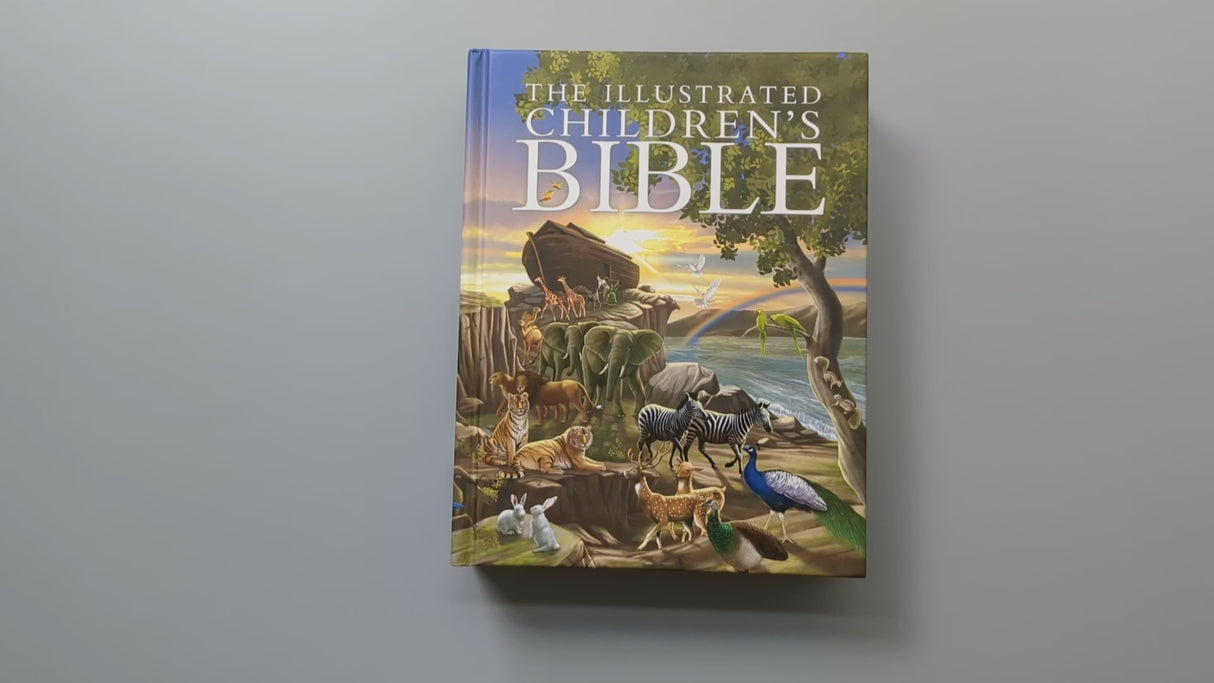 The Illustrated Childrens Bible